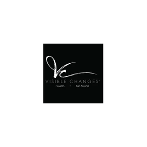 visiblechanges brand logo for visiblechanges.com