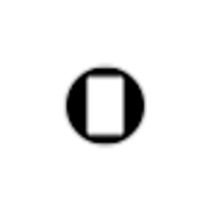 visionarypass brand logo for visionarypass.com