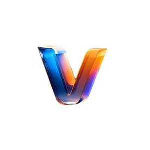 visiondir brand logo for visiondir.com