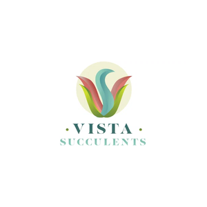 vistasucculents brand logo for vistasucculents.com