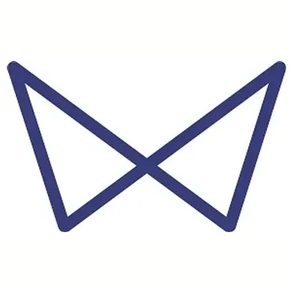vitwit brand logo for vitwit.com