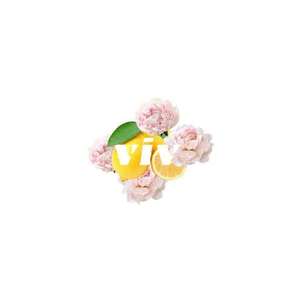 viv for your v brand logo for vivforyourv.com