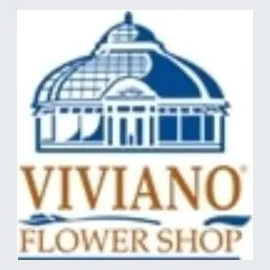 viviano brand logo for viviano.com