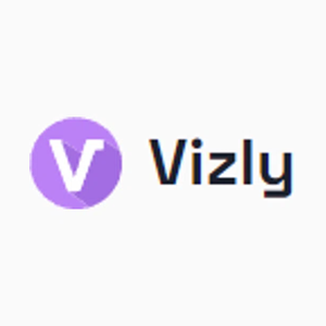 vizly brand logo for vizly.fyi
