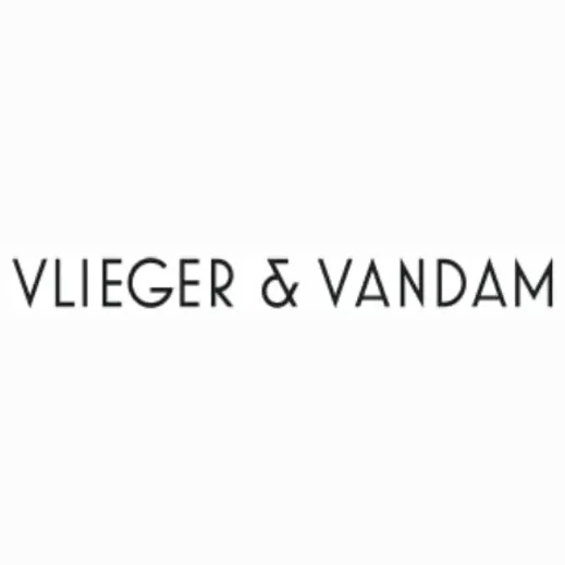 vliegervandam brand logo for vliegervandam.com