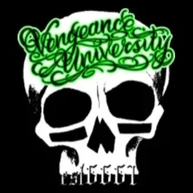 vngnz brand logo for vngnz.com
