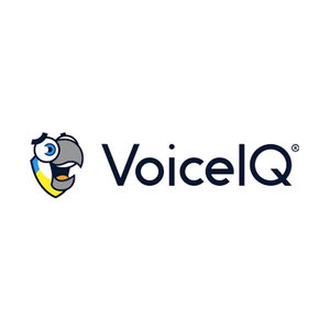 voiceiq brand logo for voiceiq.ai