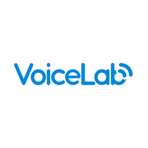 voicelab brand logo for voicelab.ai