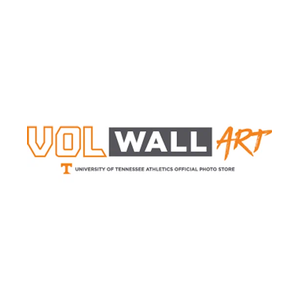 volwallart brand logo for volwallart.com