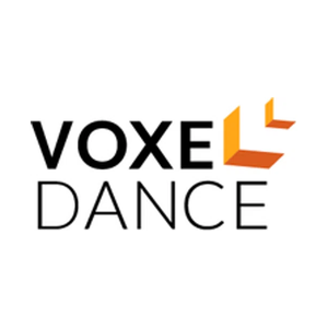 voxeldance brand logo for voxeldance.com