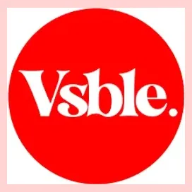 vsble brand logo for vsble.me
