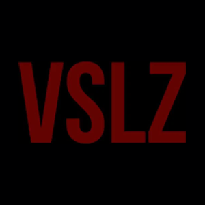 vslz brand logo for vslz.fashion