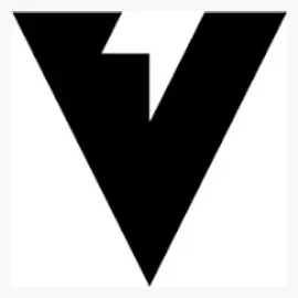 vzy brand logo for vzy.co