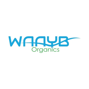 waayb brand logo for waayb.com