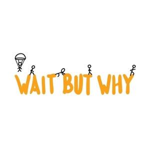 Waitbutwhy brand logo for store.waitbutwhy.com