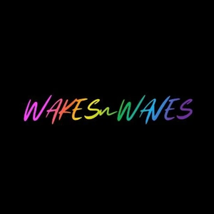 wakesnwaves brand logo for wakesnwaves.com