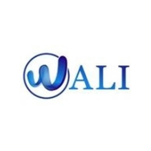 walielectric brand logo for walielectric.com