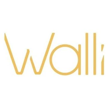 Walli Cases brand logo for wallicases.com