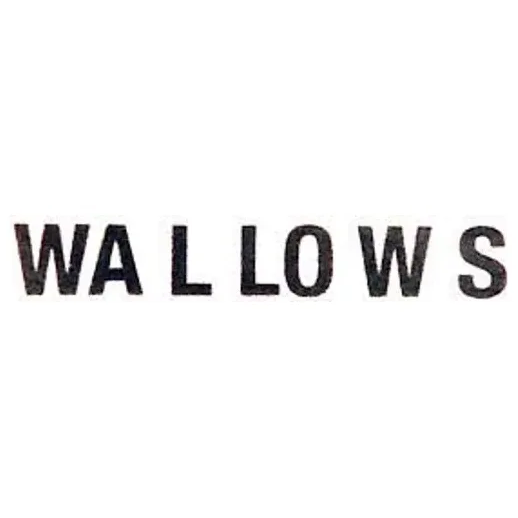 wallowsmusic brand logo for wallowsmusic.store