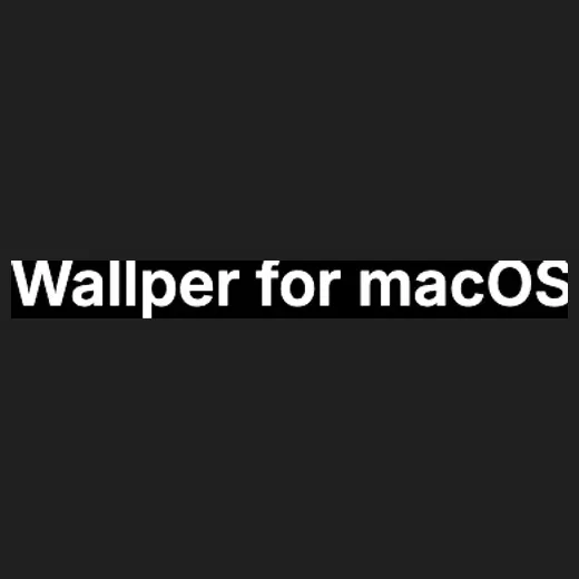 wallper brand logo for wallper.app