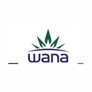 wanabrands brand logo for wanabrands.com