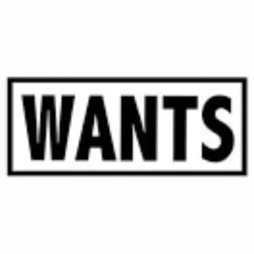 wantsonline brand logo for wantsonline.com