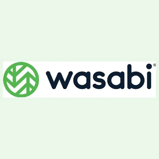wasabi brand logo for wasabi.com