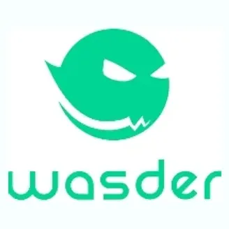 wasder brand logo for wasder.gg