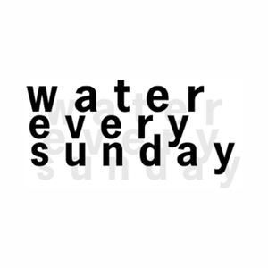 watereverysunday brand logo for watereverysunday.com