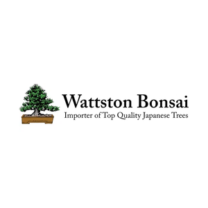 wattstonbonsai brand logo for wattstonbonsai.com