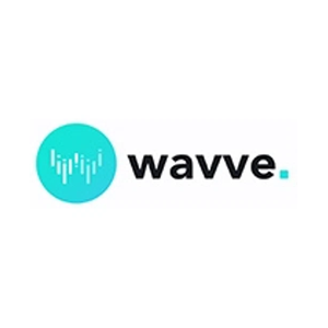 wavve brand logo for wavve.co