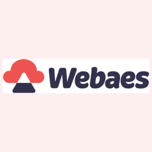 webaes brand logo for webaes.com