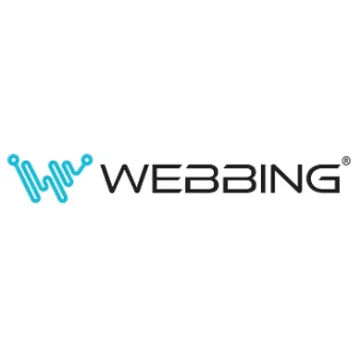 webbingsolutions brand logo for webbingsolutions.com