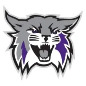 weberstatesports brand logo for weberstatesports.com