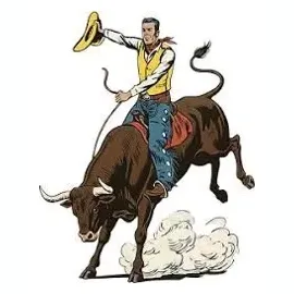webhook brand logo for webhook.rodeo