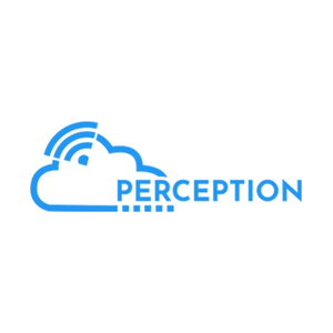 webperception brand logo for webperception.com