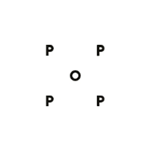 Poptradingcompany brand logo for webshop.poptradingcompany.com