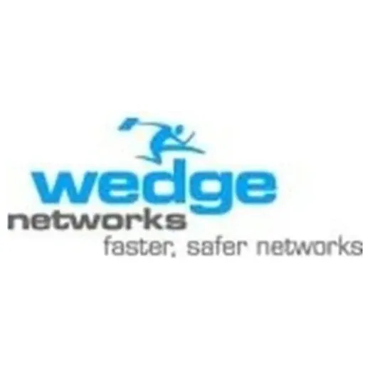 wedgenetworks brand logo for wedgenetworks.com