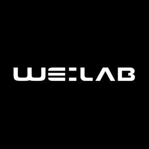 welabfitness brand logo for welabfitness.com