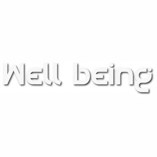 wellbeinghrt brand logo for wellbeinghrt.com