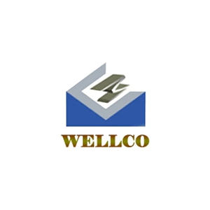 wellcoind brand logo for wellcoind.com