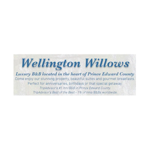 wellingtonwillows brand logo for wellingtonwillows.com