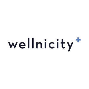 wellnicity brand logo for wellnicity.com