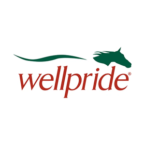 wellpride brand logo for wellpride.com