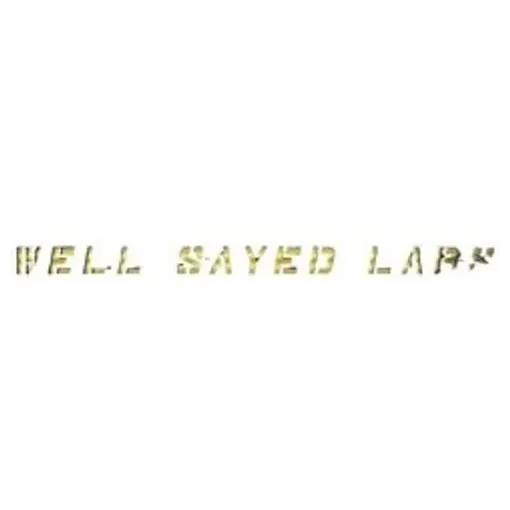 wellsayedlabs brand logo for wellsayedlabs.com