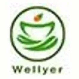 wellyer brand logo for wellyer.com