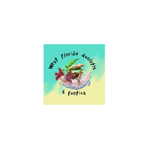 westfloridaaxolotlsandexotics brand logo for westfloridaaxolotlsandexotics.com