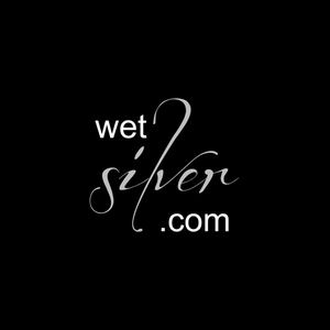 wetsilver brand logo for wetsilver.com