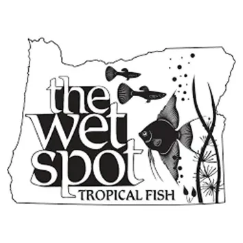 wetspottropicalfish brand logo for wetspottropicalfish.com