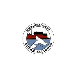whale brand logo for whale.org